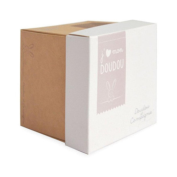 Snuggly Bear Friend with Gift Box-Nook & Cranny Gift Store-2019 National Gift Store Of The Year-Ireland-Gift Shop