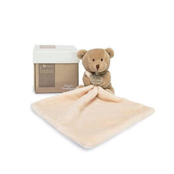 Snuggly Bear Friend with Gift Box-Nook & Cranny Gift Store-2019 National Gift Store Of The Year-Ireland-Gift Shop