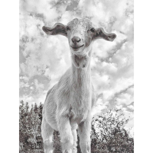 Irish Artefact Art Print 'Ear Ear ' - Dominique Beyens Photography-Nook & Cranny Gift Store-2019 National Gift Store Of The Year-Ireland-Gift Shop