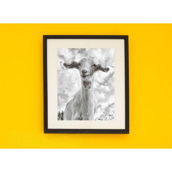 Irish Artefact Art Print 'Ear Ear ' - Dominique Beyens Photography-Nook & Cranny Gift Store-2019 National Gift Store Of The Year-Ireland-Gift Shop