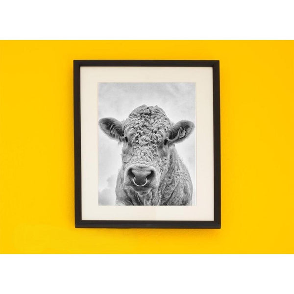 Irish Artefact Art Print 'Moo' - Dominique Beyens Photography-Nook & Cranny Gift Store-2019 National Gift Store Of The Year-Ireland-Gift Shop