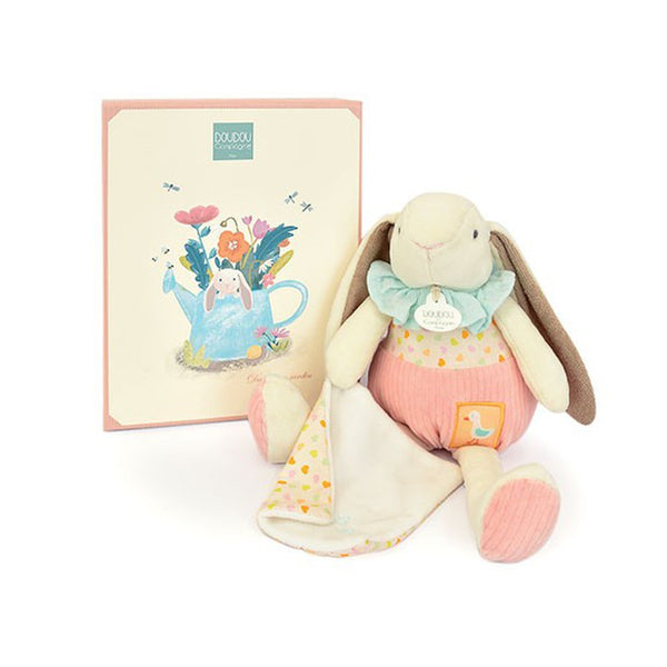 Snuggly Bunny Friend with Gift Box-Nook & Cranny Gift Store-2019 National Gift Store Of The Year-Ireland-Gift Shop