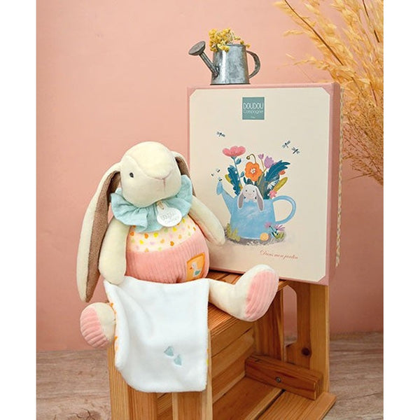 Snuggly Bunny Friend with Gift Box-Nook & Cranny Gift Store-2019 National Gift Store Of The Year-Ireland-Gift Shop