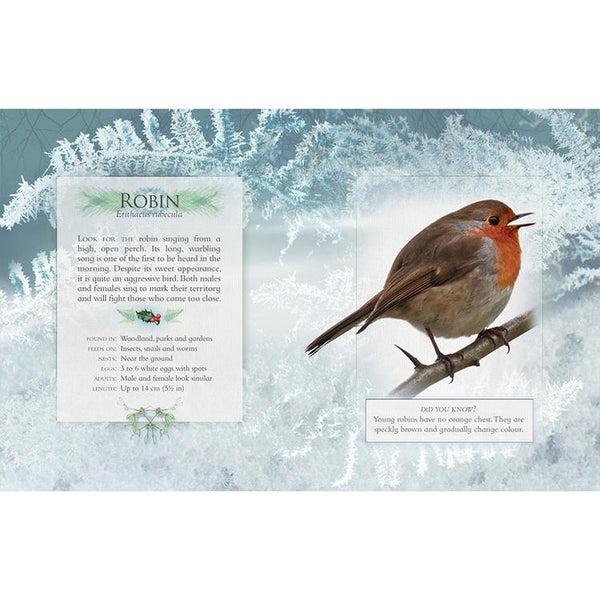 Little Book of Garden Birdsongs-Nook & Cranny Gift Store-2019 National Gift Store Of The Year-Ireland-Gift Shop