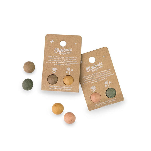 Blossombs - The Gift of Nature - Dear Teacher, thank you for helping me grow!-Nook & Cranny Gift Store-2019 National Gift Store Of The Year-Ireland-Gift Shop