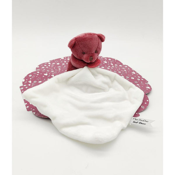 Snuggly Bear Friend with Gift Box - Plum-Nook & Cranny Gift Store-2019 National Gift Store Of The Year-Ireland-Gift Shop