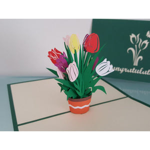 3d Pop up Card - Congratulations (Tulip)-Nook & Cranny Gift Store-2019 National Gift Store Of The Year-Ireland-Gift Shop