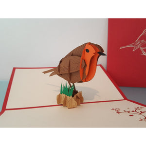 3d Pop up Card - Robin-Nook & Cranny Gift Store-2019 National Gift Store Of The Year-Ireland-Gift Shop
