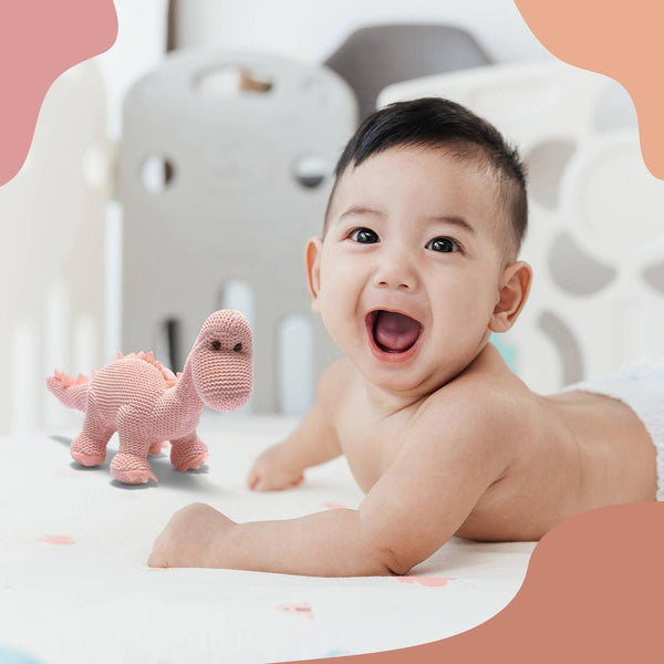 Dinosaur Baby Rattle, Knitted Organic Cotton Pink Diplodocus
