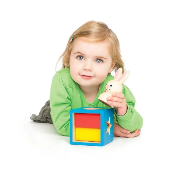 IQ Puzzle - Bunny Boo-Nook & Cranny Gift Store-2019 National Gift Store Of The Year-Ireland-Gift Shop