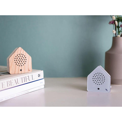 Limited Edition 'Listen to Nature' - Forest Brook Wood-Nook & Cranny Gift Store-2019 National Gift Store Of The Year-Ireland-Gift Shop