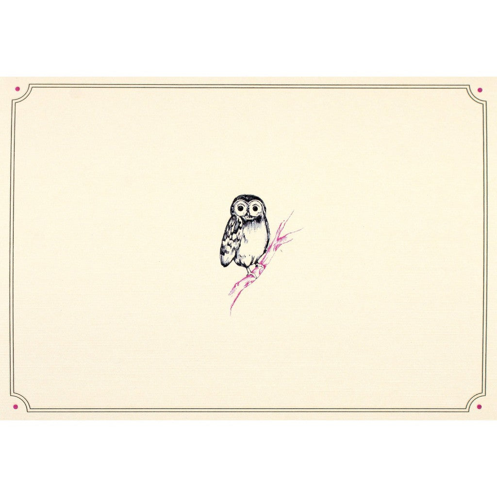 Box Set 14 Note Cards & 15 Envelopes - Owl-Nook & Cranny Gift Store-2019 National Gift Store Of The Year-Ireland-Gift Shop