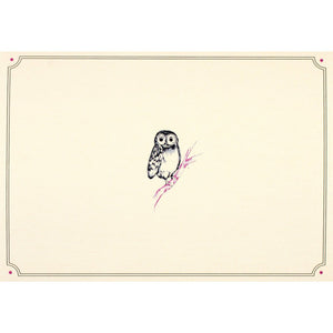 Box Set 14 Note Cards & 15 Envelopes - Owl-Nook & Cranny Gift Store-2019 National Gift Store Of The Year-Ireland-Gift Shop