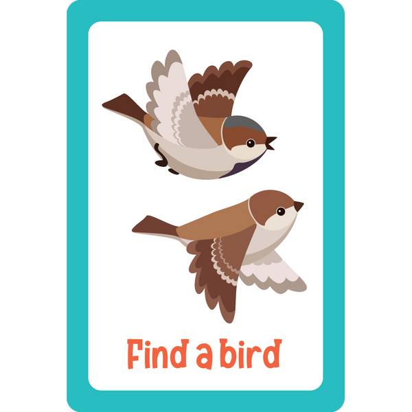 Seek-and-Find Scavenger Hunt Nature Cards-Nook & Cranny Gift Store-2019 National Gift Store Of The Year-Ireland-Gift Shop