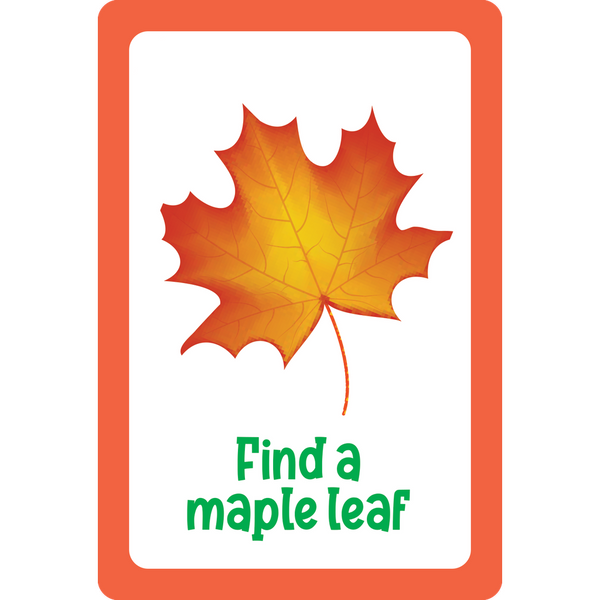 Seek-and-Find Scavenger Hunt Nature Cards-Nook & Cranny Gift Store-2019 National Gift Store Of The Year-Ireland-Gift Shop