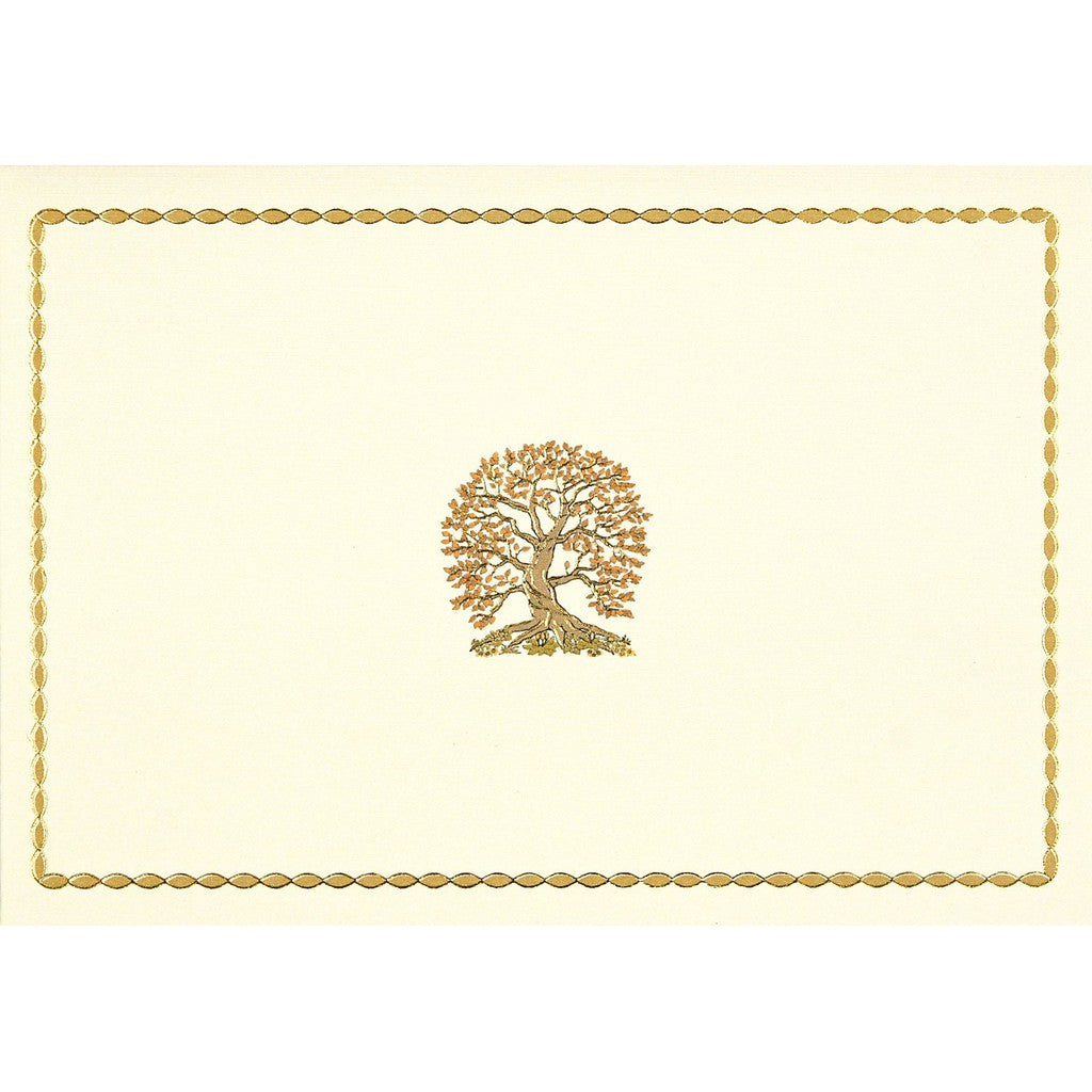 Box Set 14 Thank You Note Cards - Tree of Life-Nook & Cranny Gift Store-2019 National Gift Store Of The Year-Ireland-Gift Shop