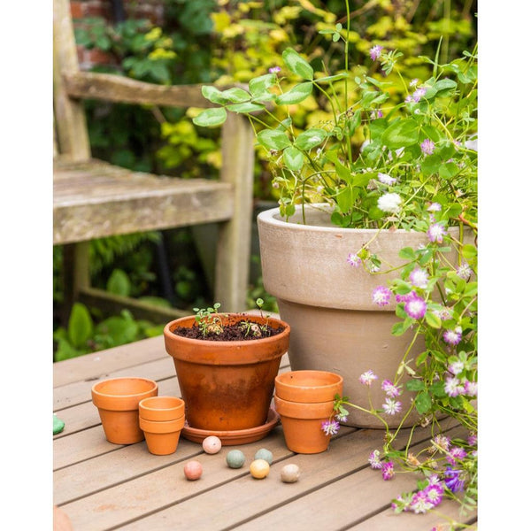 Blossombs - The Gift of Nature (Hooray, let's part!)-Nook & Cranny Gift Store-2019 National Gift Store Of The Year-Ireland-Gift Shop