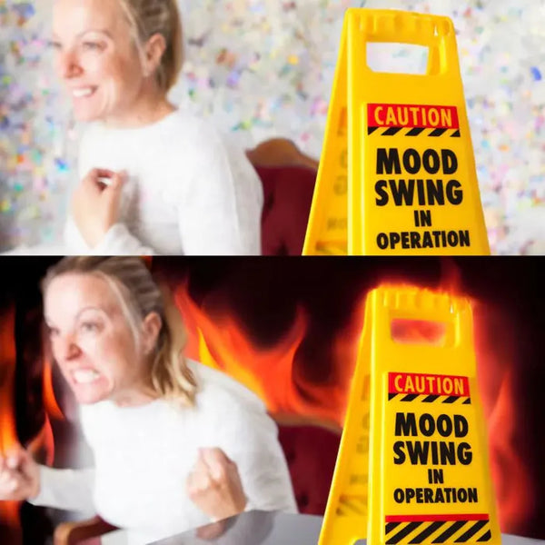 Desk Warning Sign - Mood Swing in Operation-Nook & Cranny Gift Store-2019 National Gift Store Of The Year-Ireland-Gift Shop