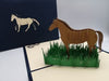 My lovely horse  - (pop up card)