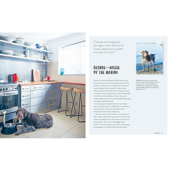 Cool Dogs, Cool Homes by Cico-Nook & Cranny Gift Store-2019 National Gift Store Of The Year-Ireland-Gift Shop