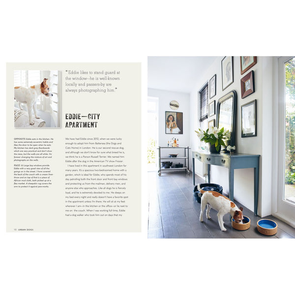 Cool Dogs, Cool Homes by Cico-Nook & Cranny Gift Store-2019 National Gift Store Of The Year-Ireland-Gift Shop