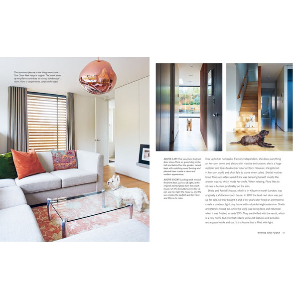 Cool Dogs, Cool Homes by Cico-Nook & Cranny Gift Store-2019 National Gift Store Of The Year-Ireland-Gift Shop