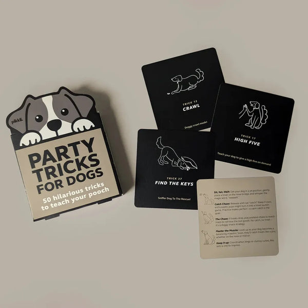 Tricks for dogs!-Nook & Cranny Gift Store-2019 National Gift Store Of The Year-Ireland-Gift Shop