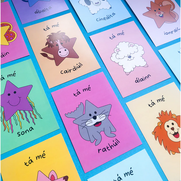 Positive Affirmation Cards - in Gaeilge/English-Nook & Cranny Gift Store-2019 National Gift Store Of The Year-Ireland-Gift Shop