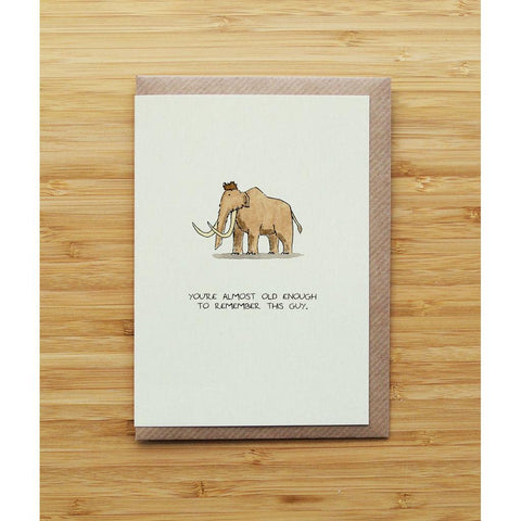 Mammoth Birthday...-Nook & Cranny Gift Store-2019 National Gift Store Of The Year-Ireland-Gift Shop