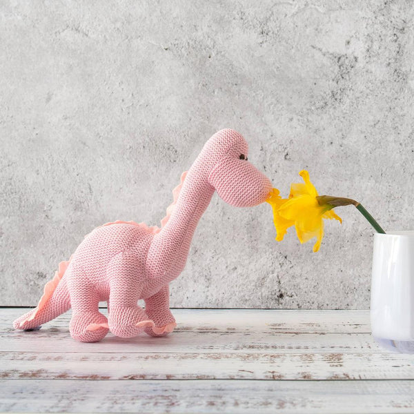Dinosaur Baby Rattle, Knitted Organic Cotton Pink Diplodocus