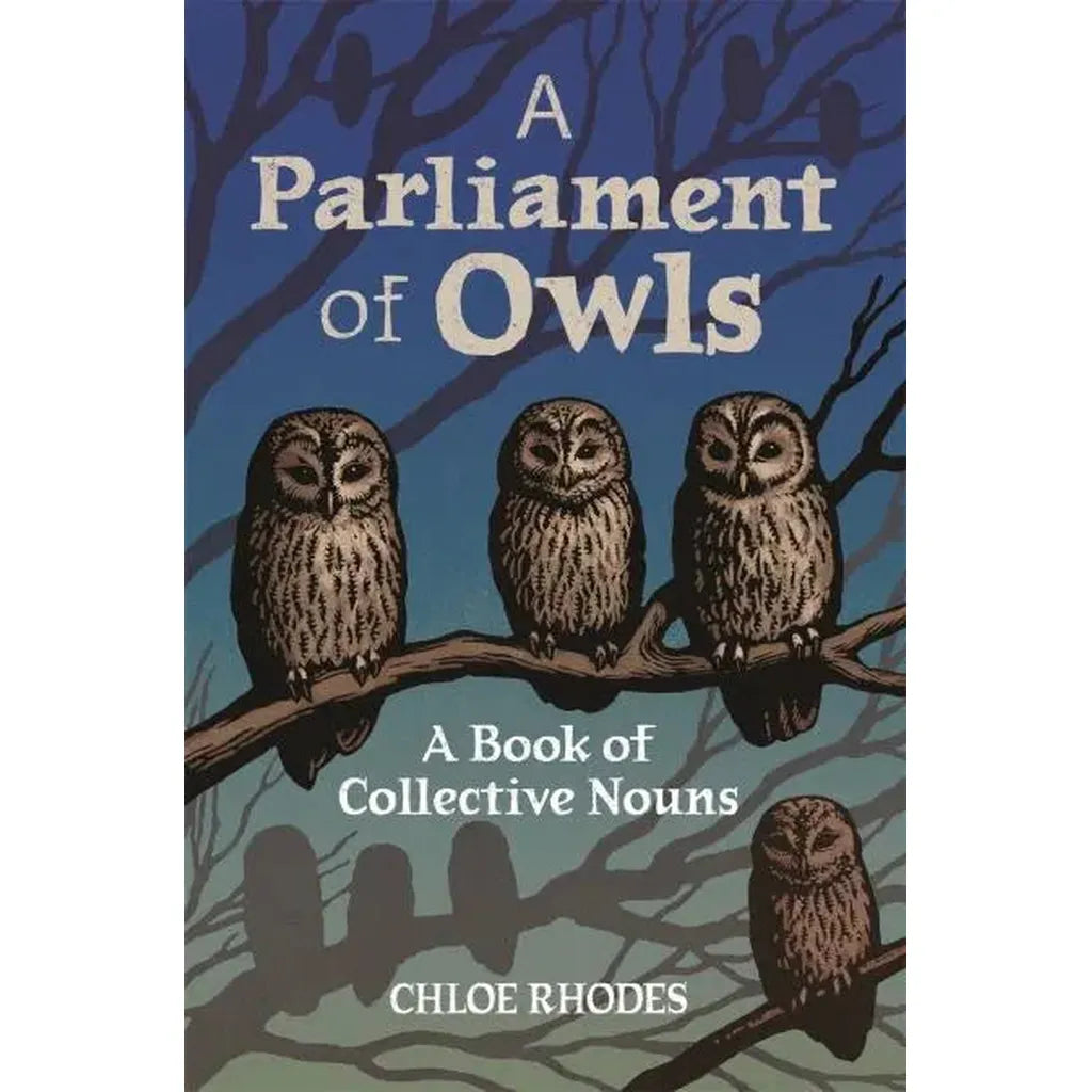 A Parliament of Owls Book-Nook & Cranny Gift Store-2019 National Gift Store Of The Year-Ireland-Gift Shop