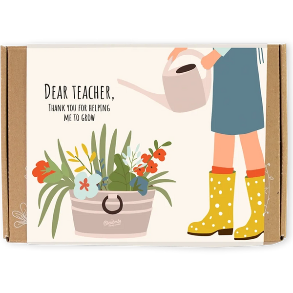 Organic Gift Box "Dear Teacher" with 7 Blossombs Seed Bombs-Nook & Cranny Gift Store-2019 National Gift Store Of The Year-Ireland-Gift Shop