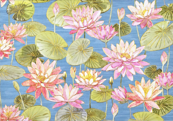 Box Set of 14 Note Cards - Waterlilies