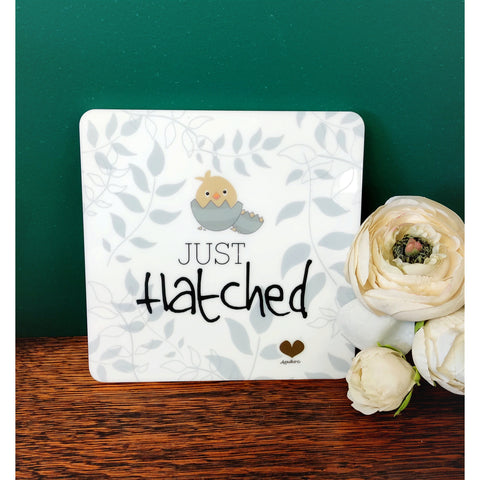 Embossed wall plaque - Just hatched...-Nook & Cranny Gift Store-2019 National Gift Store Of The Year-Ireland-Gift Shop