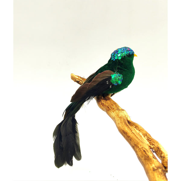 Blue or green feather clip on bird-Nook & Cranny Gift Store-2019 National Gift Store Of The Year-Ireland-Gift Shop