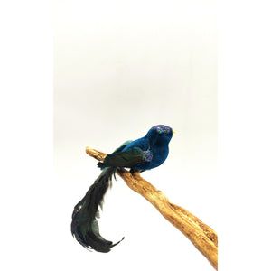 Blue or green feather clip on bird-Nook & Cranny Gift Store-2019 National Gift Store Of The Year-Ireland-Gift Shop