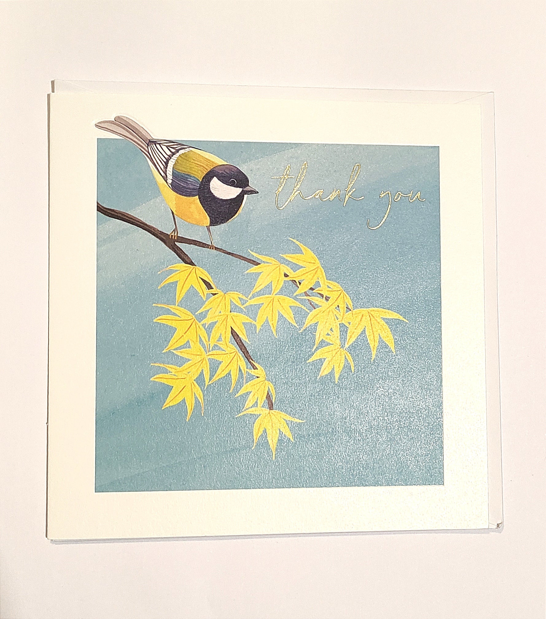 Thank You... - Blue Tit-Nook & Cranny Gift Store-2019 National Gift Store Of The Year-Ireland-Gift Shop