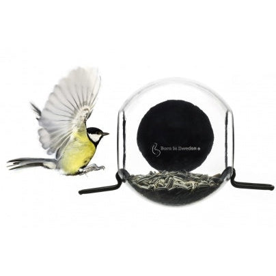 Window Bird Feeder - view the birds from indoors.-Nook & Cranny Gift Store-2019 National Gift Store Of The Year-Ireland-Gift Shop