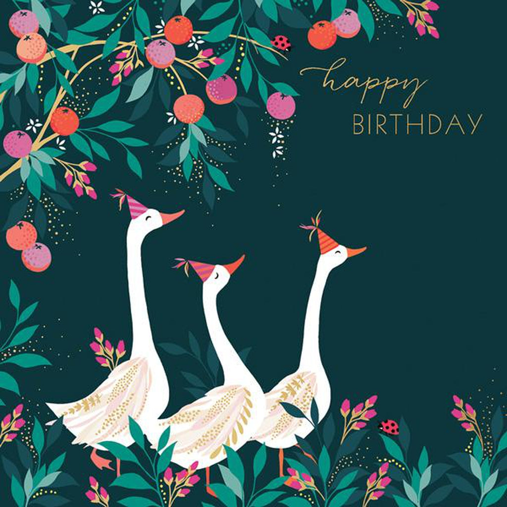 Birthday Geese & Fruit ...-Nook & Cranny Gift Store-2019 National Gift Store Of The Year-Ireland-Gift Shop