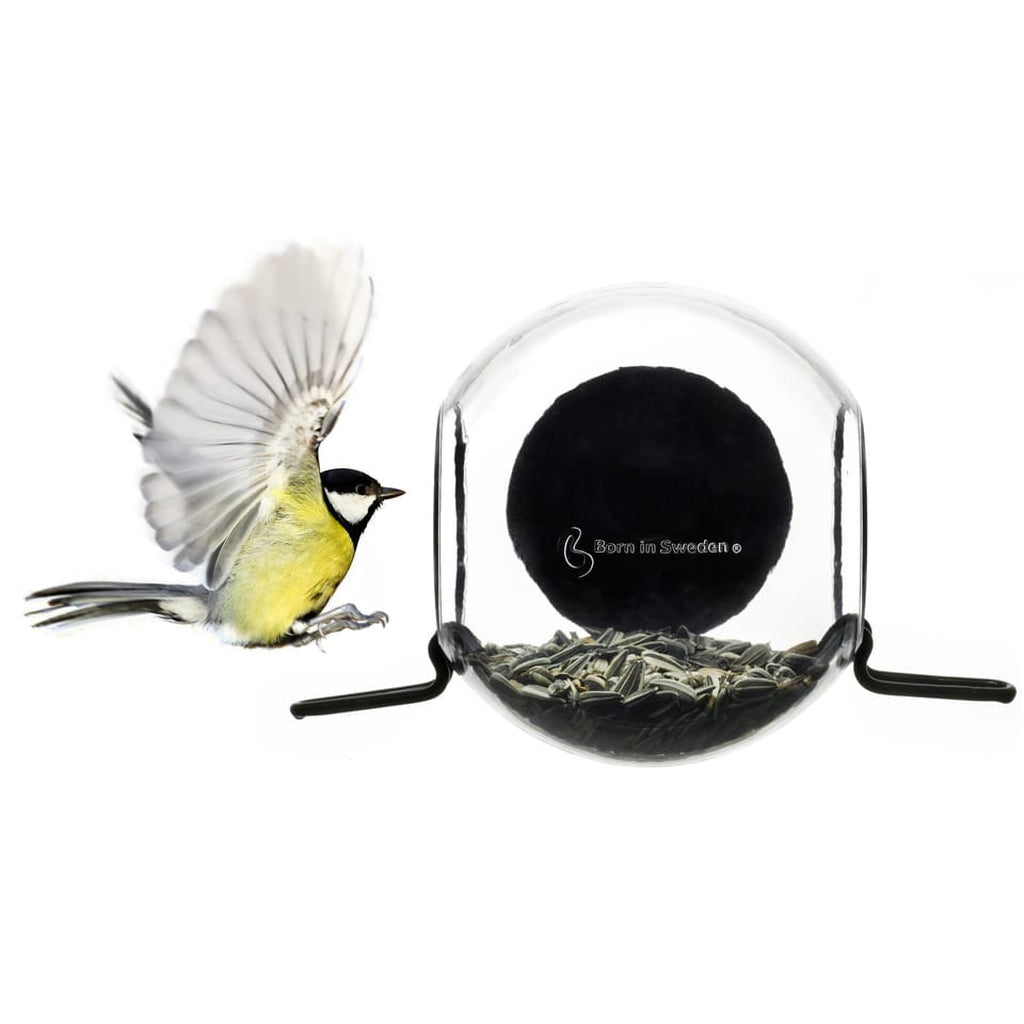 Window Bird Feeder (For closeup viewing)-Nook & Cranny Gift Store-2019 National Gift Store Of The Year-Ireland-Gift Shop